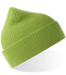 Atlantis_NELSON-Beanie_NELB_NELBVEFG_Leaf-Green_right