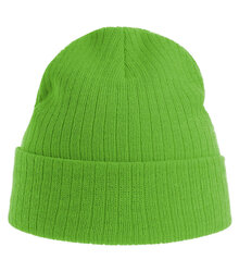 Atlantis_RIO-Beanie_RIOB_ACID-GREEN_front