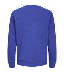 Jack-Jones-Produkt-Blanks_PKTGMS-Blank-Basic-Crew-Neck-Sweat_12263900_Surf-the-Web_back_5715603390438_002