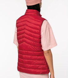 Native-Spirit_Ladies-lightweight-recycled-padded-bodywarmer_NS6006-6_2022