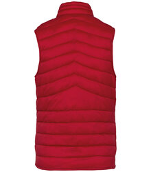 Native-Spirit_Ladies-lightweight-recycled-padded-bodywarmer_NS6006-B_HIBISCUSRED