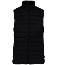 Native-Spirit_Ladies-lightweight-recycled-padded-bodywarmer_NS6006_BLACK.jpg